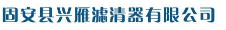  Gu'an Xingyan Filter Co., Ltd